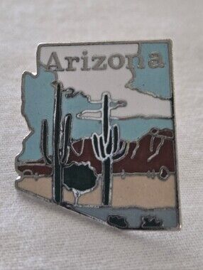 Vintage Arizona Desert Enamel Lapel Pin - MAFCO